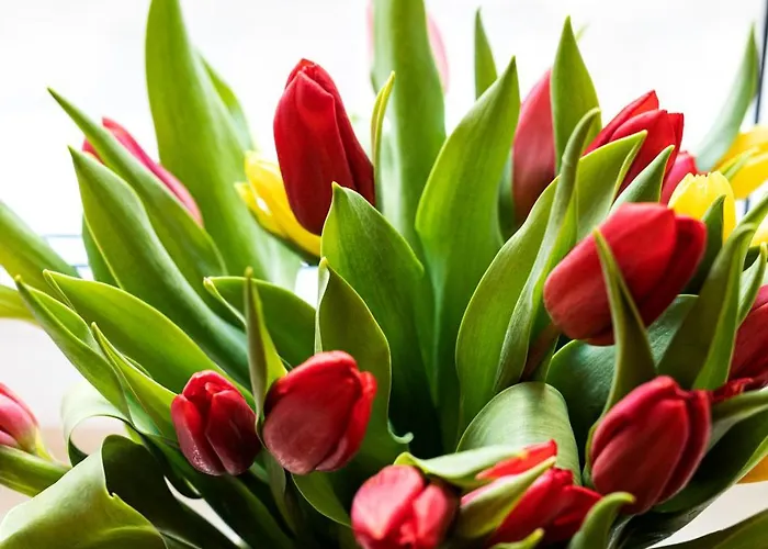 Szlachecki I Pod Artusem