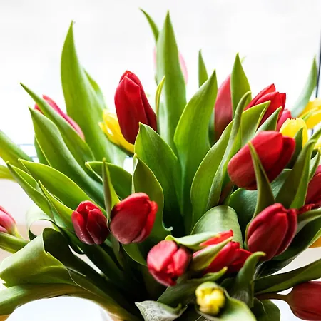 Szlachecki I Pod Artusem